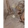 Helmet MKII Canadian 1942 & Anti-gas Helmet Cover
