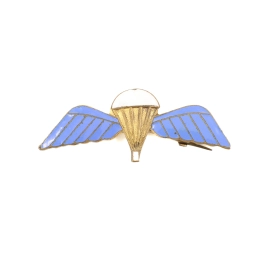 Brevet Parachute Regiment "Emaillé"