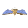 Patent Parachute Regiment "Enameled"