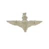 Cap badge Parachute Regiment British Airborne