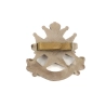 Cap badge "Economique" Notts & Derby Regiment ( Sherwood Foresters)