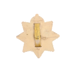 Cap badge "Economique" Devonshire Regiment