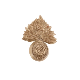 Cap badge "Economique" Devonshire Regiment