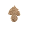 Cap badge "Economique" Devonshire Regiment