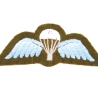 Brevet Parachutiste British Army