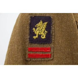 Battledress Hampshire - 43rd "Wessex" Infantry Division