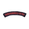 Title 10 Commando British Army