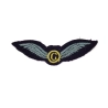 Brevet Glider Co-Pilot British Army