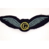 Brevet Glider Co-Pilot British Army