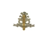 Cap Badge "North Staffordshire Regiment"