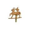 Cap Badge "Queen's Royal Regiment"