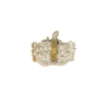 Cap Badge "Gloucestershire Regiment"
