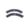 Paire d'Insignes Parachute Regiment Imprimés