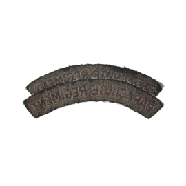 Paire d'Insignes Parachute Regiment Imprimés