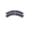 Paire d'Insignes Parachute Regiment Imprimés