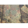 Caisse de transport chargeurs  2cm Flak 30/38 camouflée