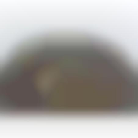 Helmet M-35 camoufled tree-tone