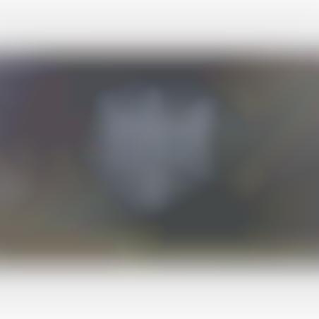 Helmet M-35 camoufled tree-tone