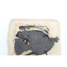 Patch 4th Armoured Brigade British Army
