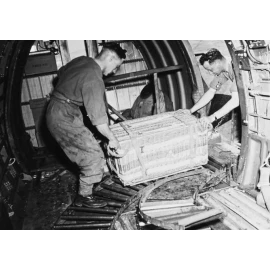 Insigne RASC Air Despatch British Army