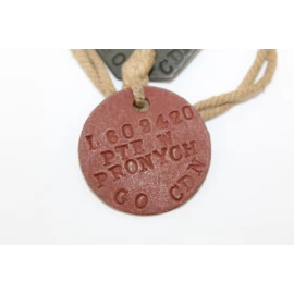 Paire de plaques d'identité  W. Pronych British Army