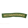 Title Reconnaissance  British Army