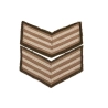 Pair ranks Sergeant Canadian Army